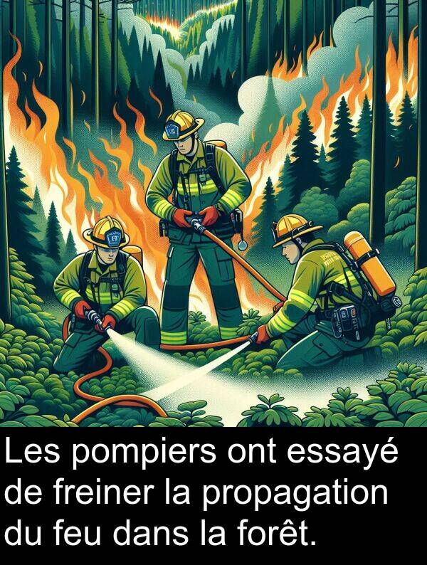 essayé: Les pompiers ont essayé de freiner la propagation du feu dans la forêt.