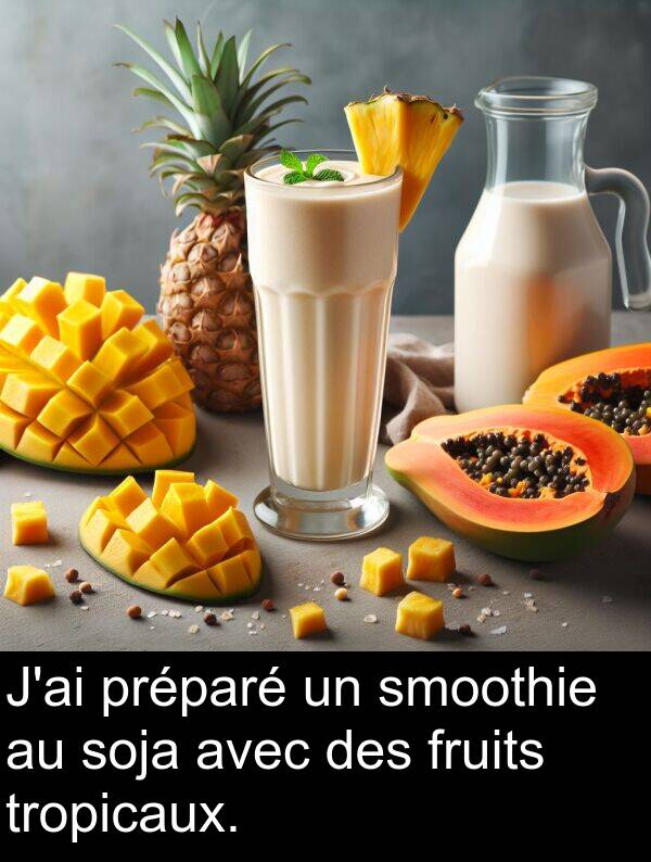 tropicaux: J'ai préparé un smoothie au soja avec des fruits tropicaux.