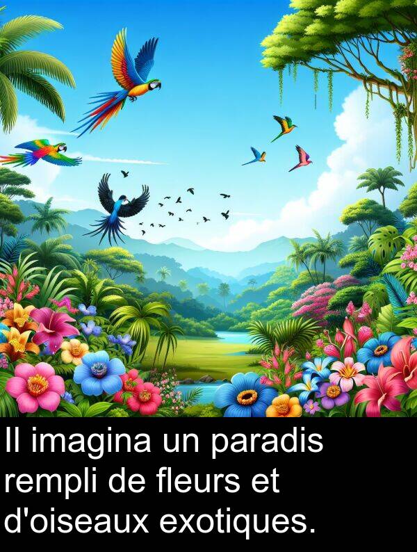imagina: Il imagina un paradis rempli de fleurs et d'oiseaux exotiques.