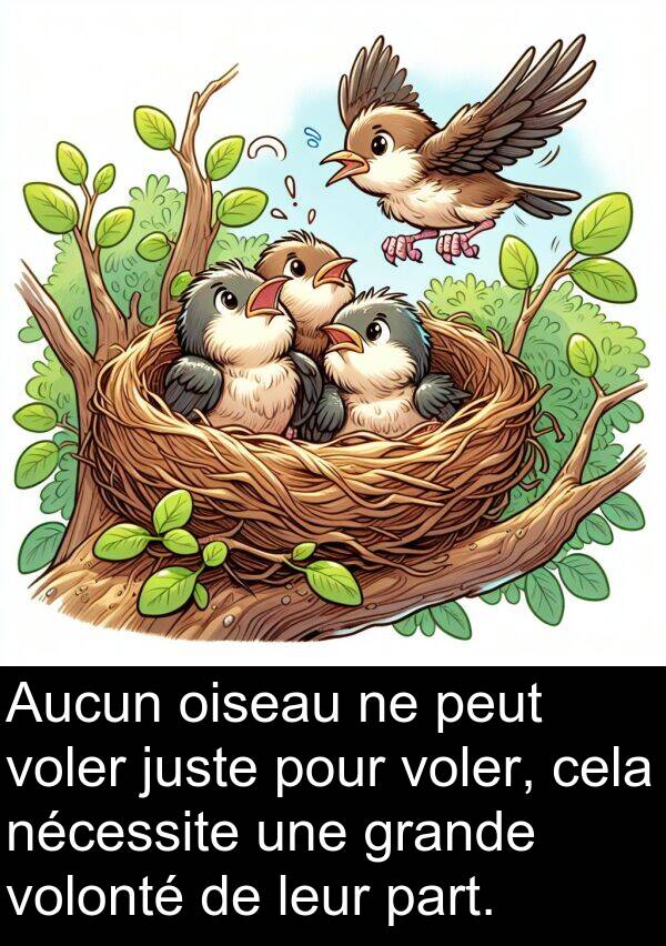 oiseau: Aucun oiseau ne peut voler juste pour voler, cela nécessite une grande volonté de leur part.