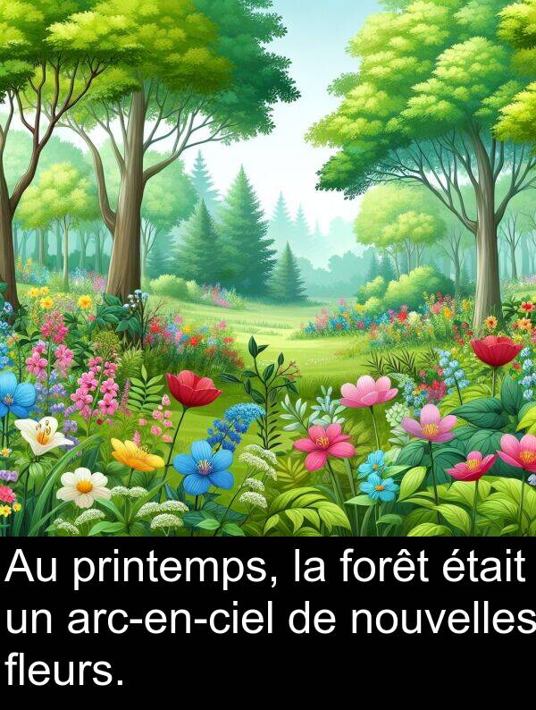 nouvelles: Au printemps, la forêt était un arc-en-ciel de nouvelles fleurs.