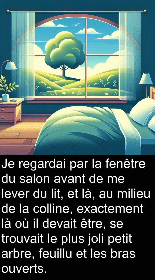 là: Je regardai par la fenêtre du salon avant de me lever du lit, et là, au milieu de la colline, exactement là où il devait être, se trouvait le plus joli petit arbre, feuillu et les bras ouverts.