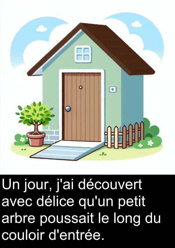 découvert: Un jour, j'ai découvert avec délice qu'un petit arbre poussait le long du couloir d'entrée.