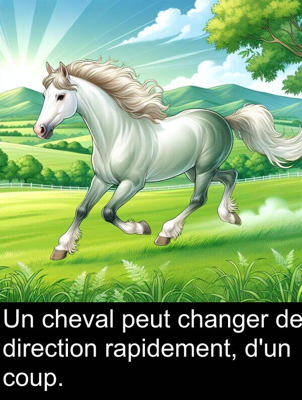rapidement: Un cheval peut changer de direction rapidement, d'un coup.