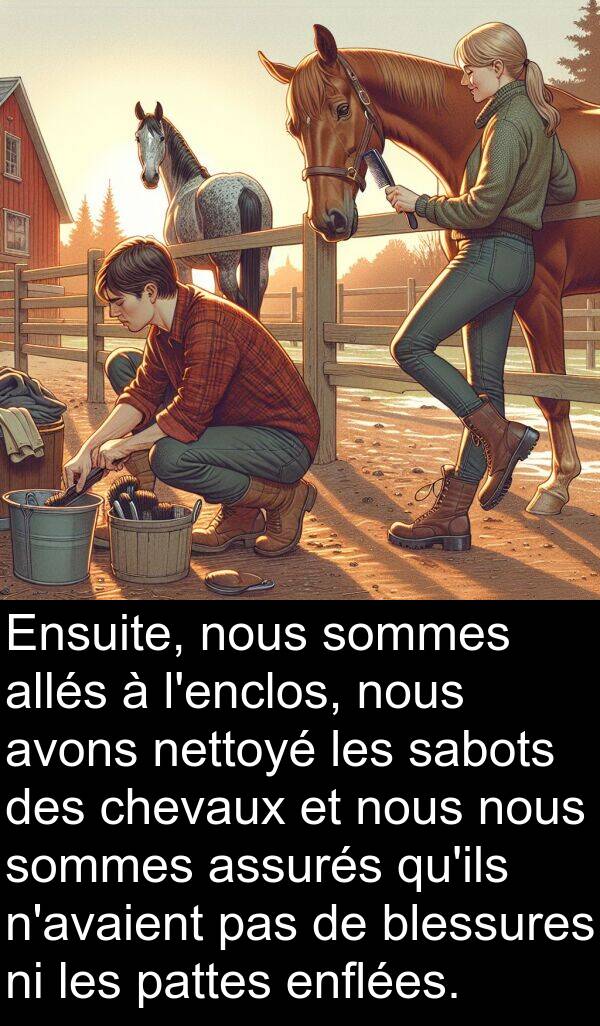 sabots: Ensuite, nous sommes allés à l'enclos, nous avons nettoyé les sabots des chevaux et nous nous sommes assurés qu'ils n'avaient pas de blessures ni les pattes enflées.