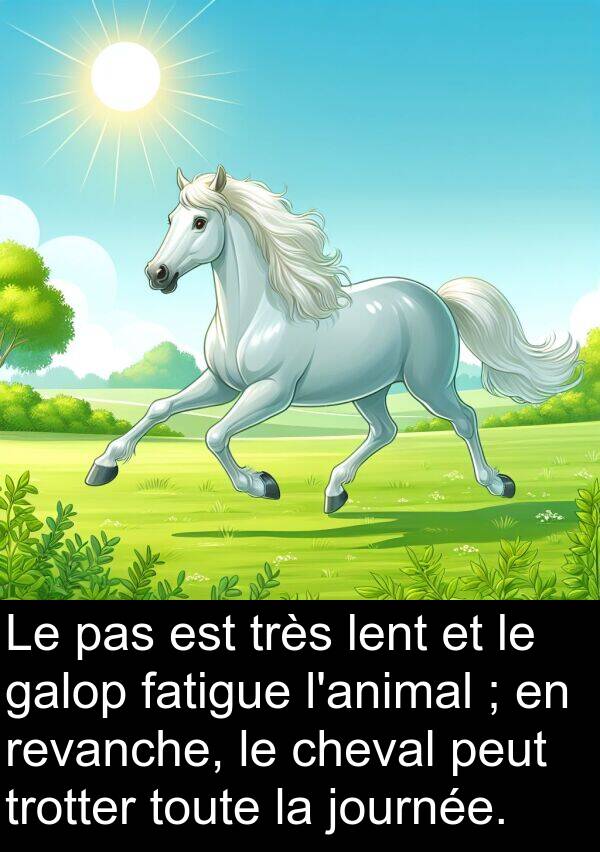 journée: Le pas est très lent et le galop fatigue l'animal ; en revanche, le cheval peut trotter toute la journée.