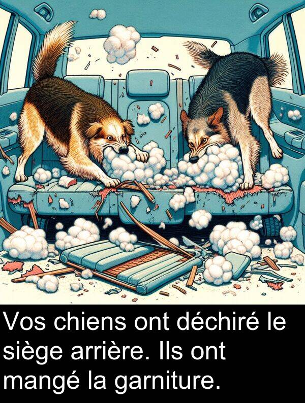 déchiré: Vos chiens ont déchiré le siège arrière. Ils ont mangé la garniture.