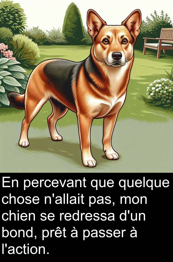 redressa: En percevant que quelque chose n'allait pas, mon chien se redressa d'un bond, prêt à passer à l'action.
