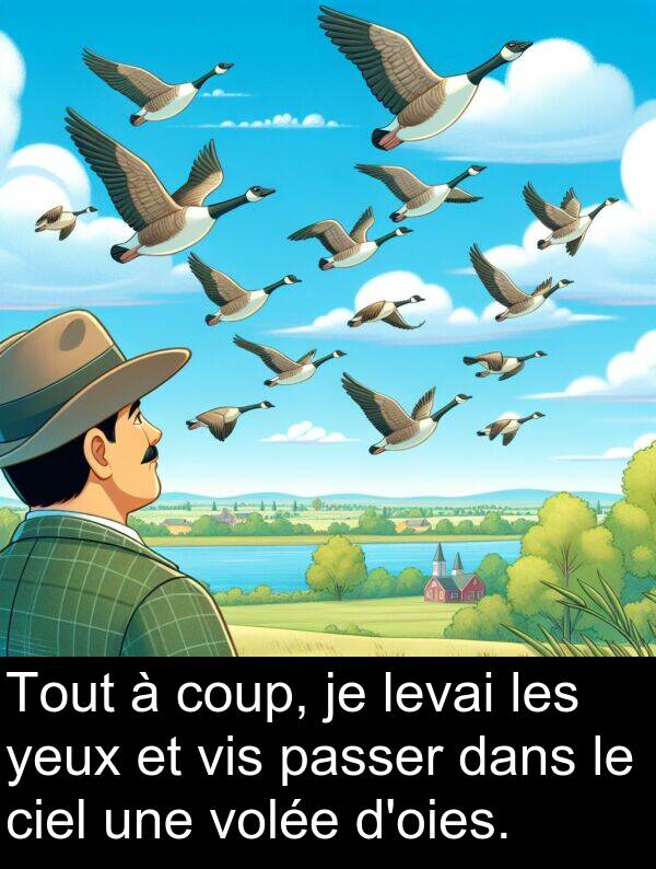 vis: Tout à coup, je levai les yeux et vis passer dans le ciel une volée d'oies.