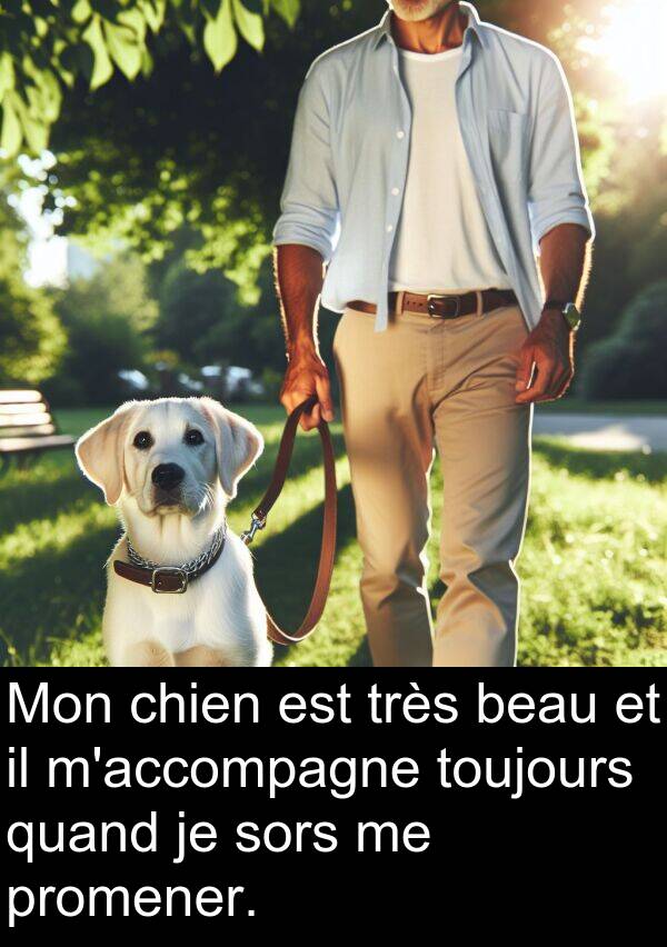 quand: Mon chien est très beau et il m'accompagne toujours quand je sors me promener.