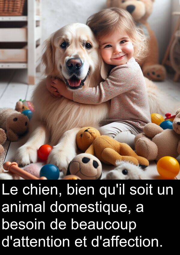 chien: Le chien, bien qu'il soit un animal domestique, a besoin de beaucoup d'attention et d'affection.