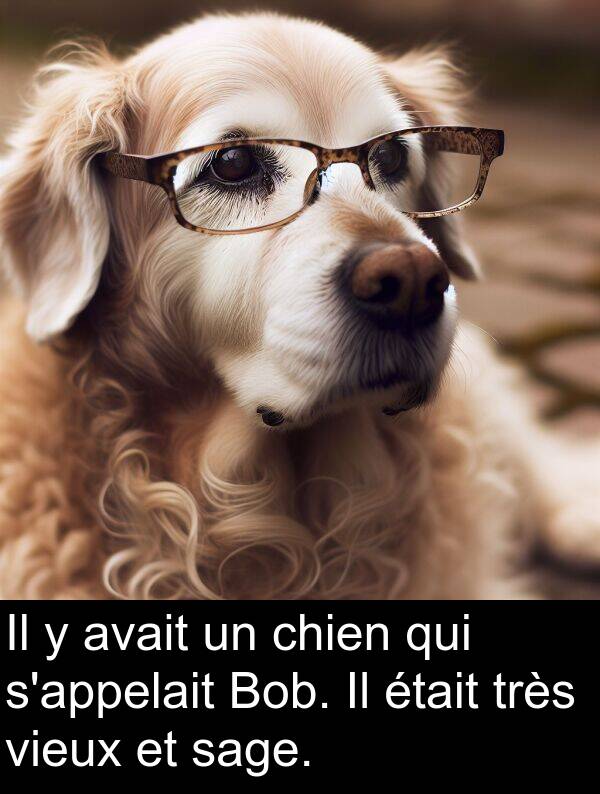 avait: Il y avait un chien qui s'appelait Bob. Il était très vieux et sage.