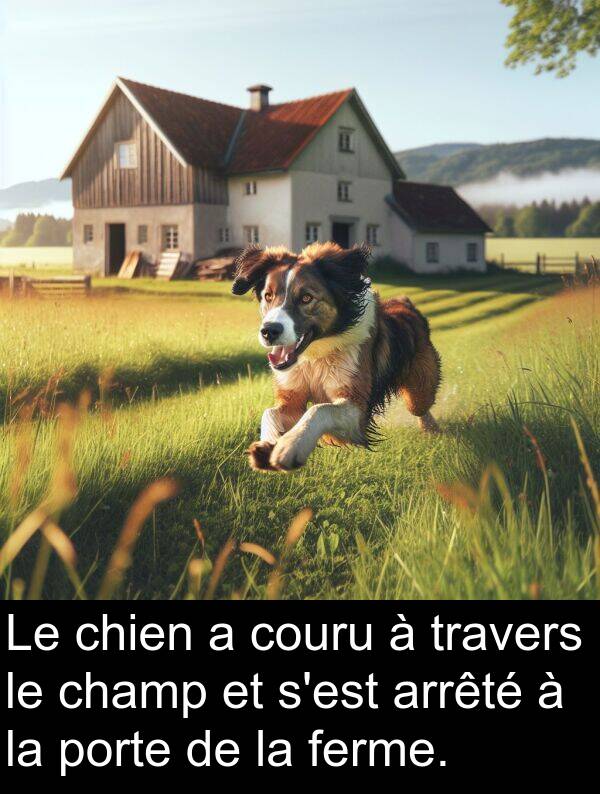ferme: Le chien a couru à travers le champ et s'est arrêté à la porte de la ferme.