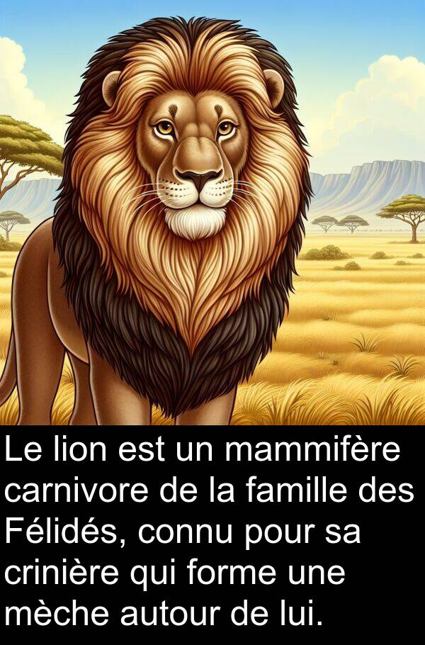 connu: Le lion est un mammifère carnivore de la famille des Félidés, connu pour sa crinière qui forme une mèche autour de lui.