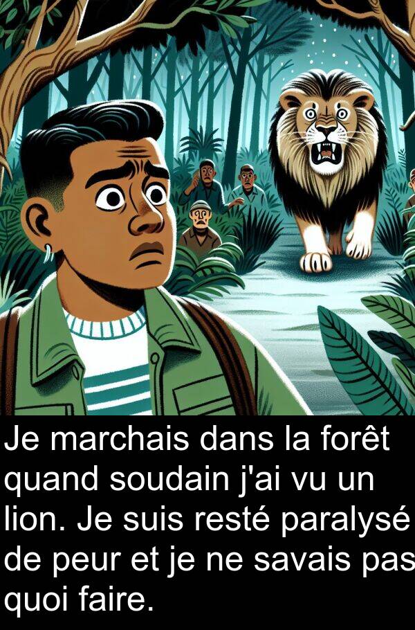 savais: Je marchais dans la forêt quand soudain j'ai vu un lion. Je suis resté paralysé de peur et je ne savais pas quoi faire.