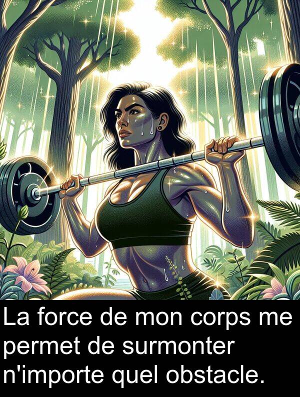 surmonter: La force de mon corps me permet de surmonter n'importe quel obstacle.