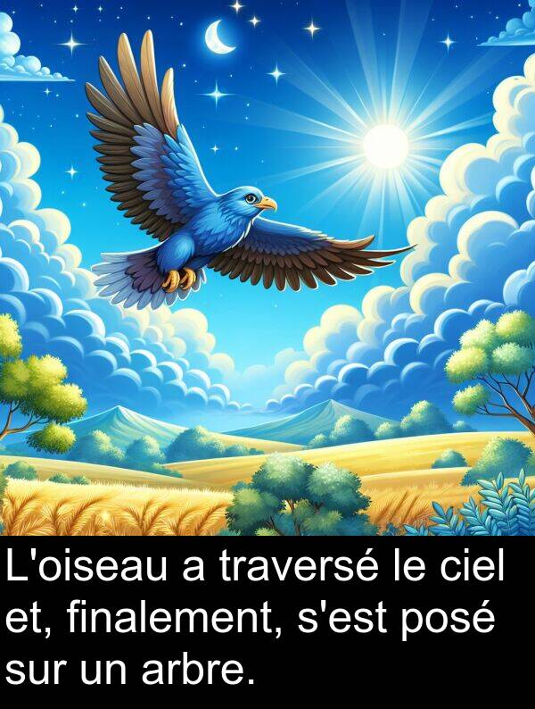 ciel: L'oiseau a traversé le ciel et, finalement, s'est posé sur un arbre.