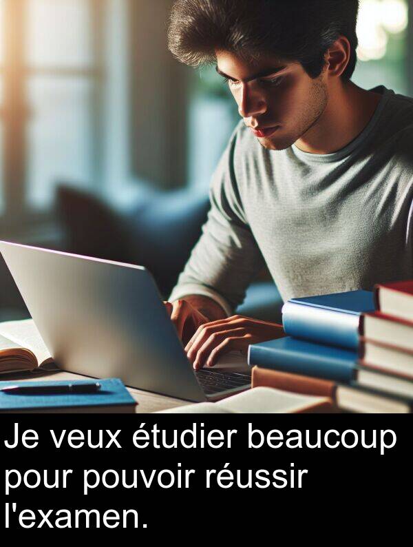 beaucoup: Je veux étudier beaucoup pour pouvoir réussir l'examen.
