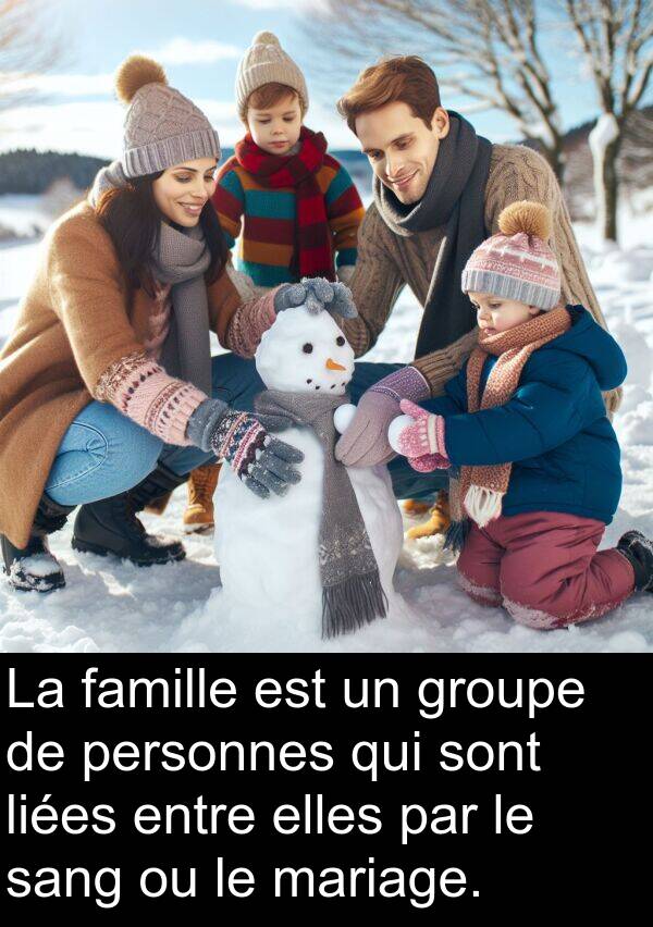 mariage: La famille est un groupe de personnes qui sont liées entre elles par le sang ou le mariage.
