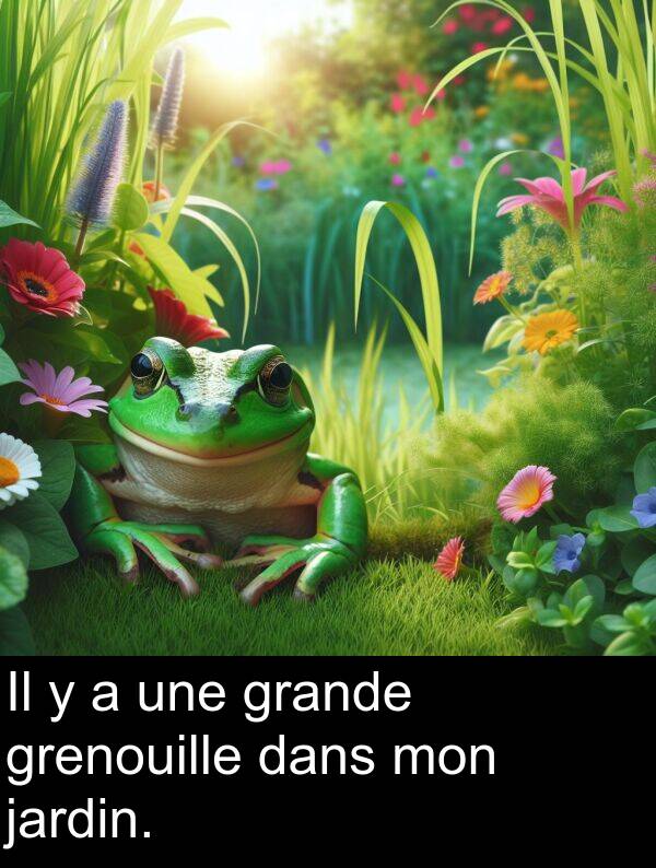 dans: Il y a une grande grenouille dans mon jardin.