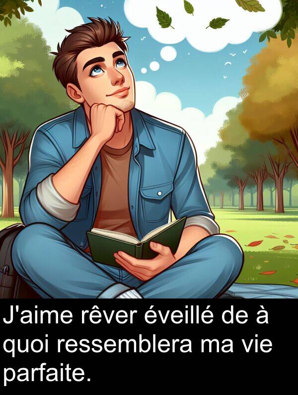 quoi: J'aime rêver éveillé de à quoi ressemblera ma vie parfaite.
