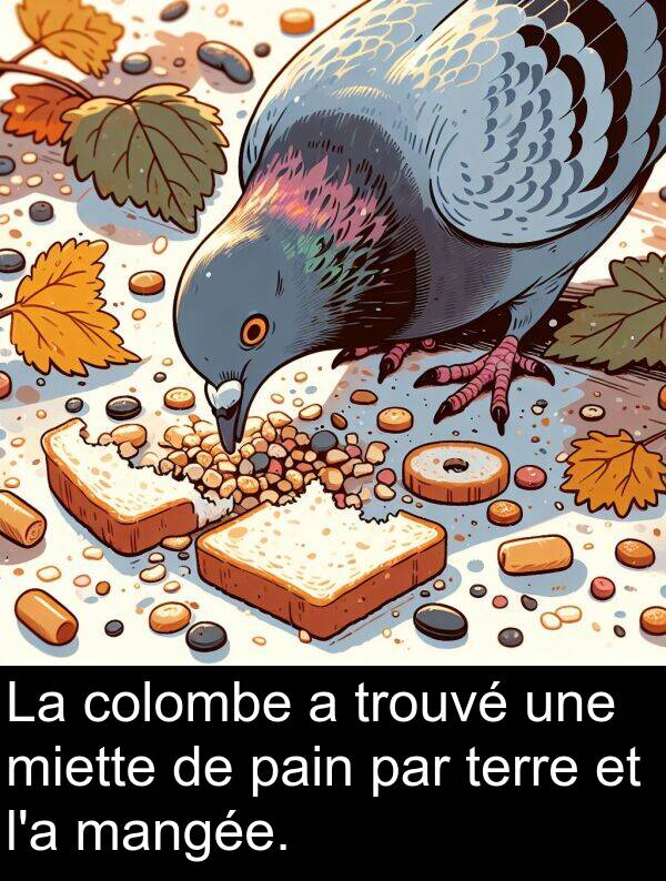 trouvé: La colombe a trouvé une miette de pain par terre et l'a mangée.
