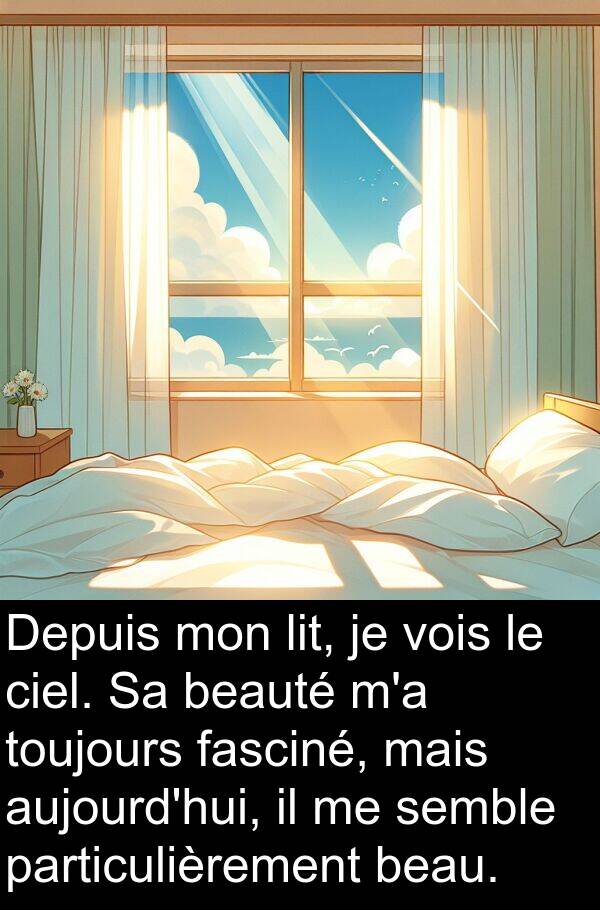 semble: Depuis mon lit, je vois le ciel. Sa beauté m'a toujours fasciné, mais aujourd'hui, il me semble particulièrement beau.