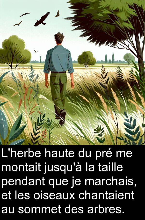 haute: L'herbe haute du pré me montait jusqu'à la taille pendant que je marchais, et les oiseaux chantaient au sommet des arbres.