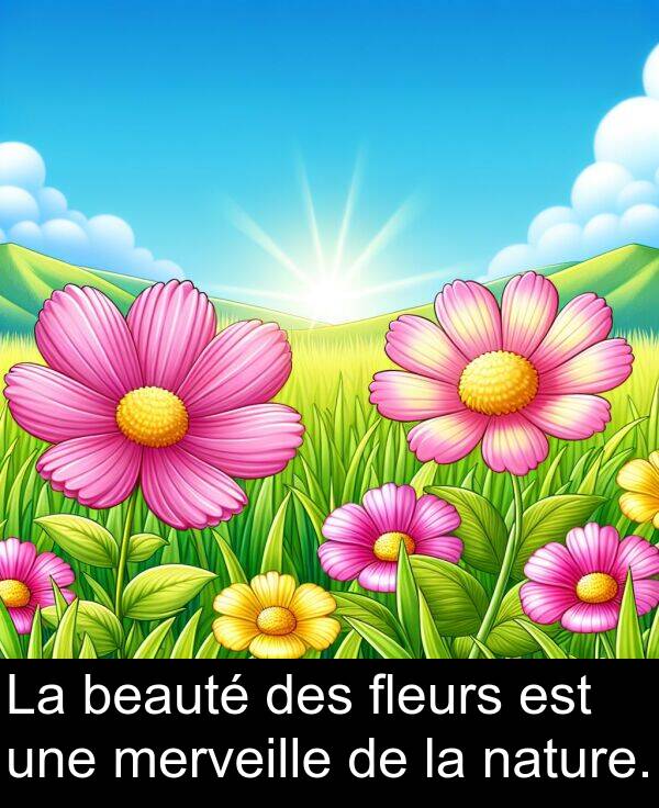 beauté: La beauté des fleurs est une merveille de la nature.