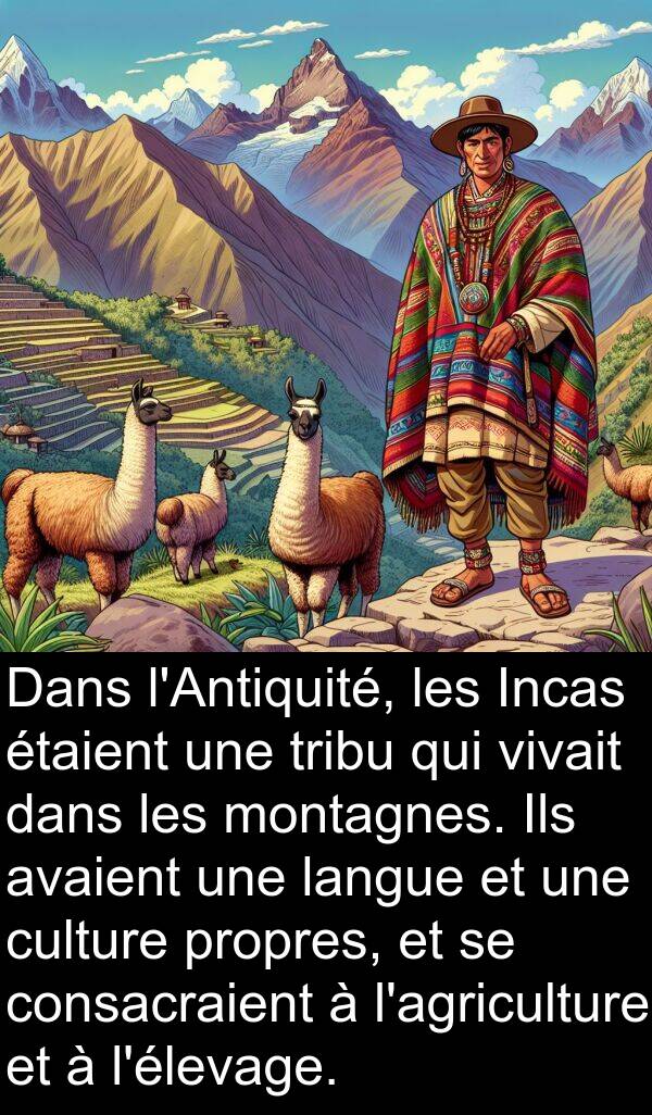 consacraient: Dans l'Antiquité, les Incas étaient une tribu qui vivait dans les montagnes. Ils avaient une langue et une culture propres, et se consacraient à l'agriculture et à l'élevage.