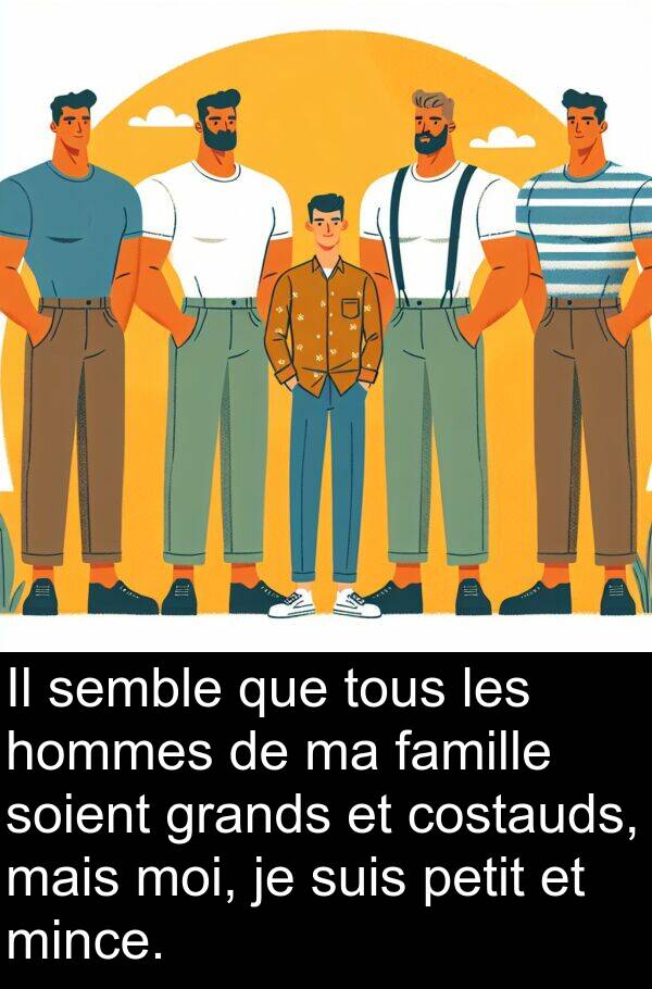 semble: Il semble que tous les hommes de ma famille soient grands et costauds, mais moi, je suis petit et mince.
