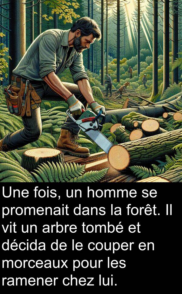 décida: Une fois, un homme se promenait dans la forêt. Il vit un arbre tombé et décida de le couper en morceaux pour les ramener chez lui.