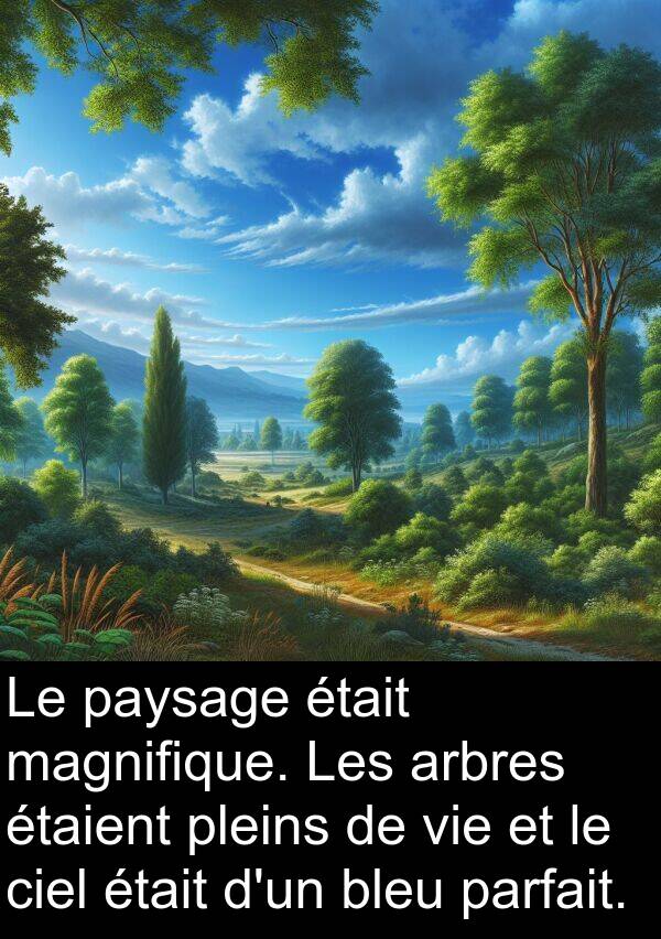 magnifique: Le paysage était magnifique. Les arbres étaient pleins de vie et le ciel était d'un bleu parfait.