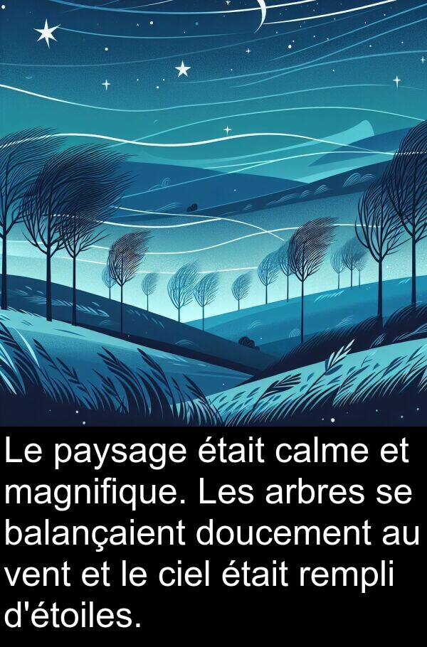 magnifique: Le paysage était calme et magnifique. Les arbres se balançaient doucement au vent et le ciel était rempli d'étoiles.
