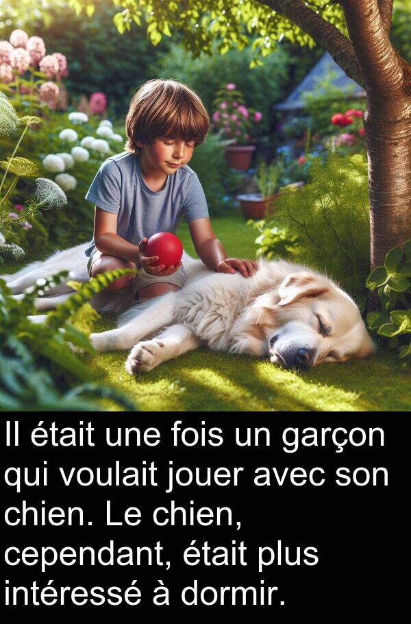 garçon: Il était une fois un garçon qui voulait jouer avec son chien. Le chien, cependant, était plus intéressé à dormir.