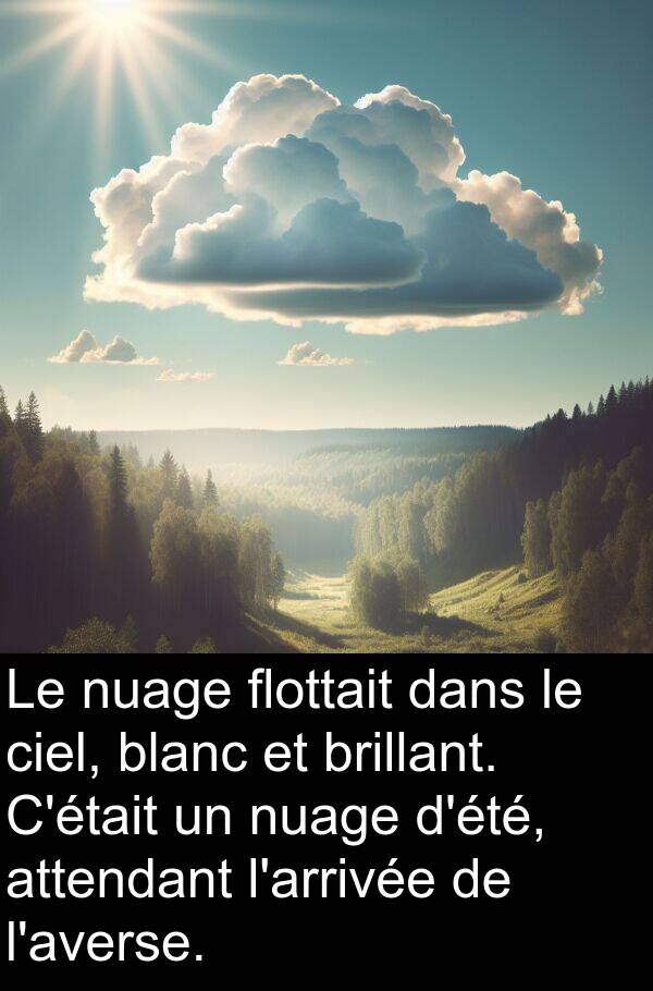 blanc: Le nuage flottait dans le ciel, blanc et brillant. C'était un nuage d'été, attendant l'arrivée de l'averse.