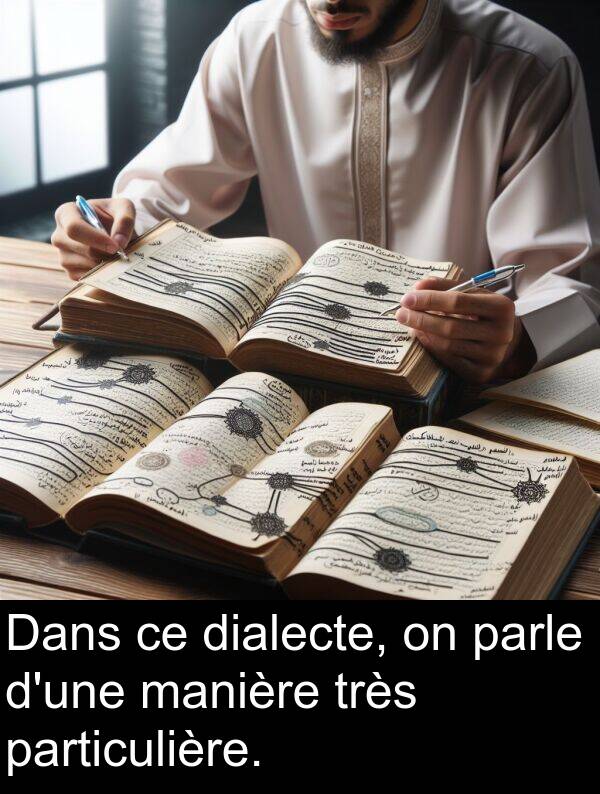 manière: Dans ce dialecte, on parle d'une manière très particulière.