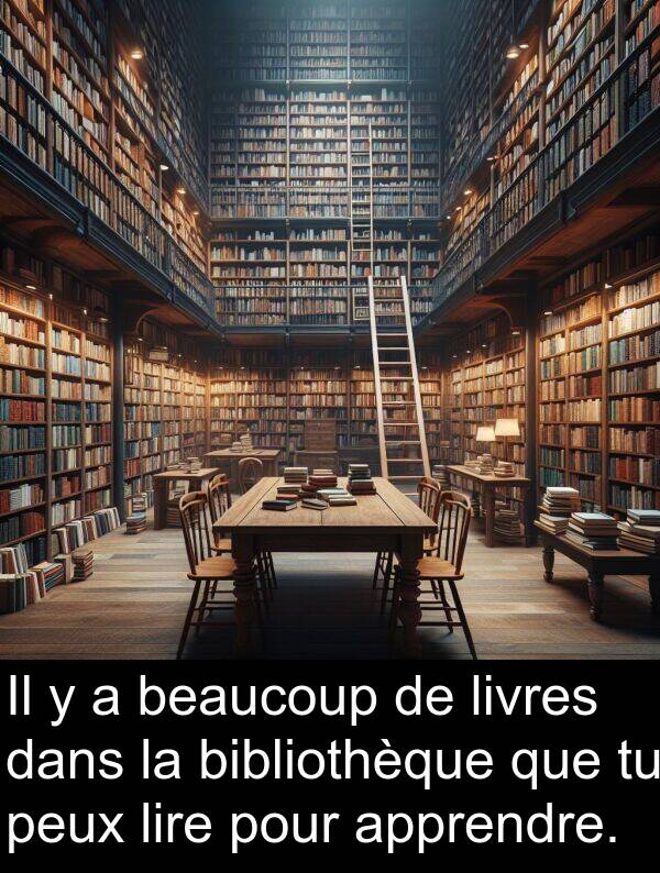 lire: Il y a beaucoup de livres dans la bibliothèque que tu peux lire pour apprendre.