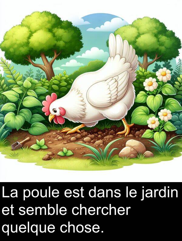 semble: La poule est dans le jardin et semble chercher quelque chose.