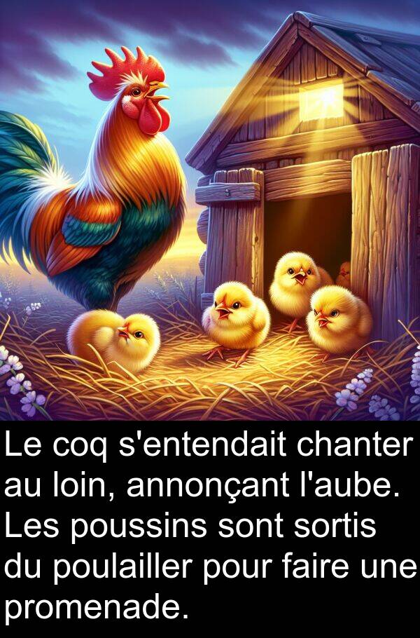loin: Le coq s'entendait chanter au loin, annonçant l'aube. Les poussins sont sortis du poulailler pour faire une promenade.