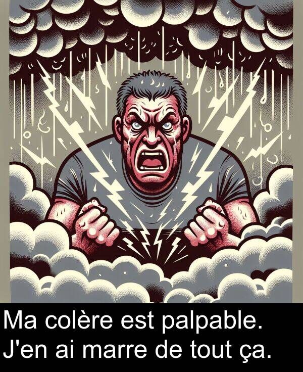 marre: Ma colère est palpable. J'en ai marre de tout ça.