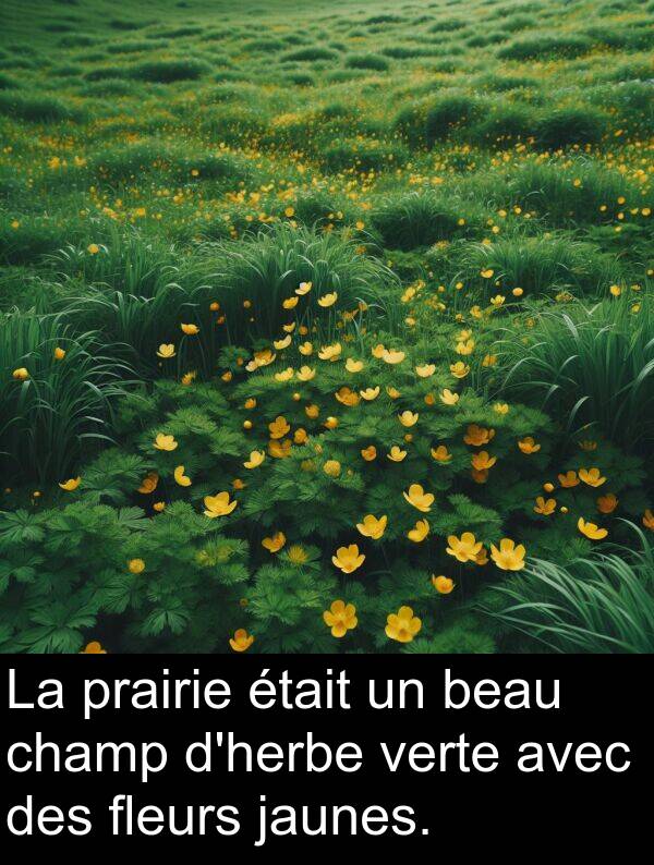 jaunes: La prairie était un beau champ d'herbe verte avec des fleurs jaunes.