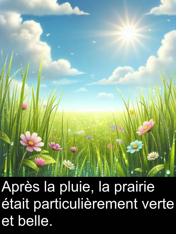 belle: Après la pluie, la prairie était particulièrement verte et belle.
