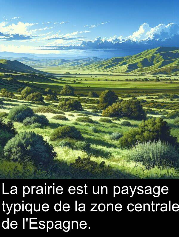 zone: La prairie est un paysage typique de la zone centrale de l'Espagne.