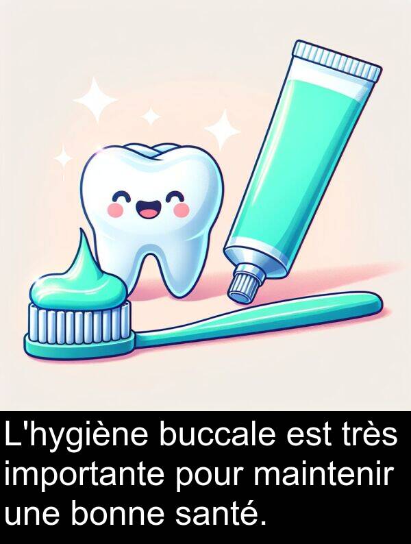bonne: L'hygiène buccale est très importante pour maintenir une bonne santé.