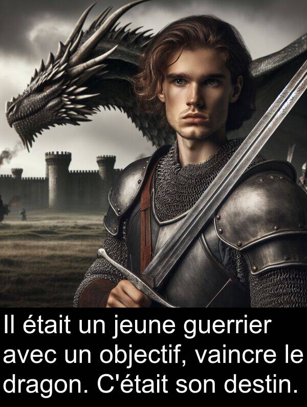 objectif: Il était un jeune guerrier avec un objectif, vaincre le dragon. C'était son destin.