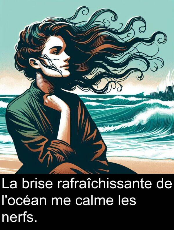 rafraîchissante: La brise rafraîchissante de l'océan me calme les nerfs.
