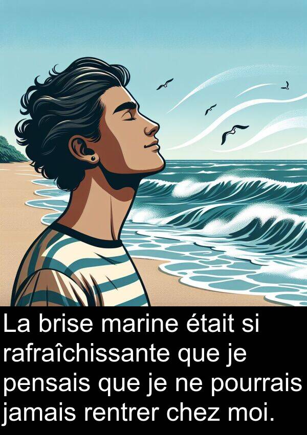 rafraîchissante: La brise marine était si rafraîchissante que je pensais que je ne pourrais jamais rentrer chez moi.