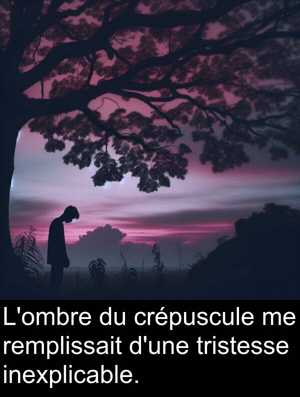 crépuscule: L'ombre du crépuscule me remplissait d'une tristesse inexplicable.
