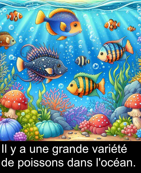 poissons: Il y a une grande variété de poissons dans l'océan.